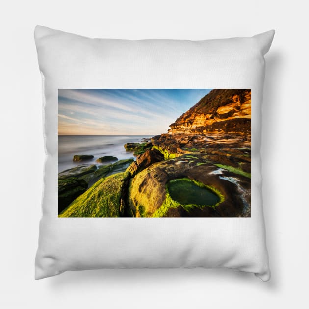 Rockpool Pillow by Geoff79