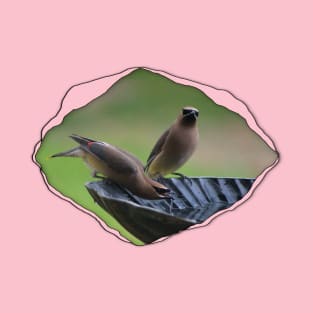 Cedar Waxwing through Torn Cloth T-Shirt