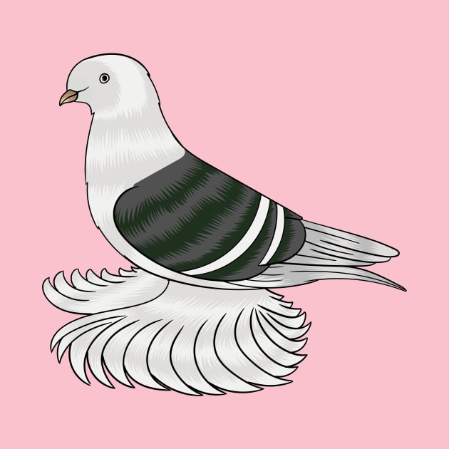 Saxon Shield pigeon bird cartoon illustration by Cartoons of fun