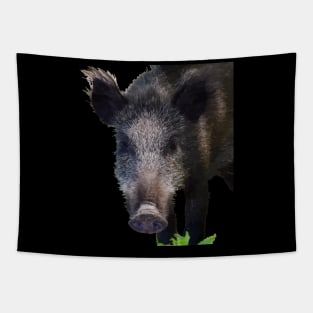 Boar Making Eye Contact Vector Art Tapestry