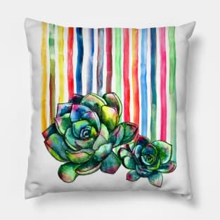 Rainbow Succulents Pillow