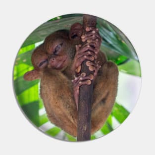 Tarsier, Bohol, Philippines Pin