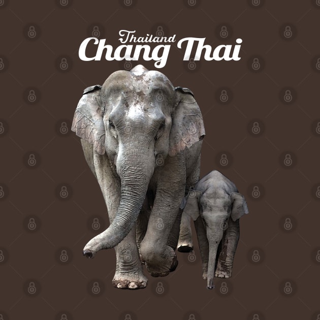 Chang Thai by KewaleeTee