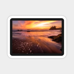 Sunset at the Beach Magnet