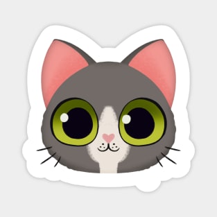 Cute Grey Kitten Magnet