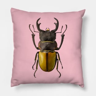 Coleoptera Pillow