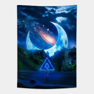 Moonlit Tapestry