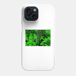 Ferns Phone Case