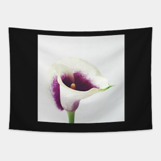 Calla Lily Tapestry