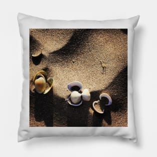 Beach pebbles Pillow