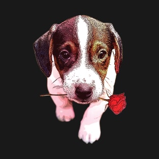 'Rose Boston Terrier ' Valentine's Day Boston Terrier T-Shirt