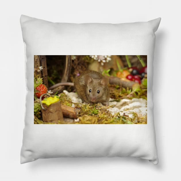 George the mouse in a log pile house Pillow by Simon-dell