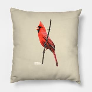 Spring Cardinal Pillow