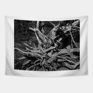 Glacier National Park black and white tree stump Tapestry