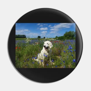 Ditte in a field of wild flowers Pin