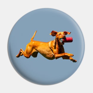 Flying Vizsla Pin