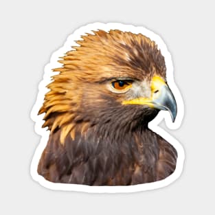 Ruffled Golden Eagle Magnet