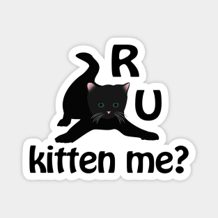 R U Kitten Me? Magnet