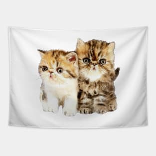 DOUBLE TROUBLE Tapestry