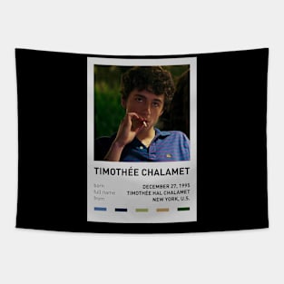 Timothée Chalamet Tapestry