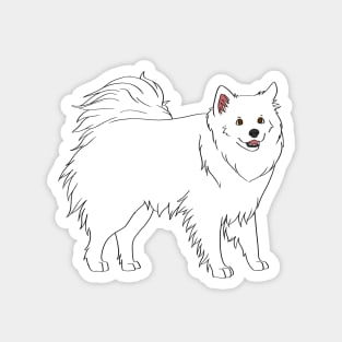 American Eskimo Dog Magnet