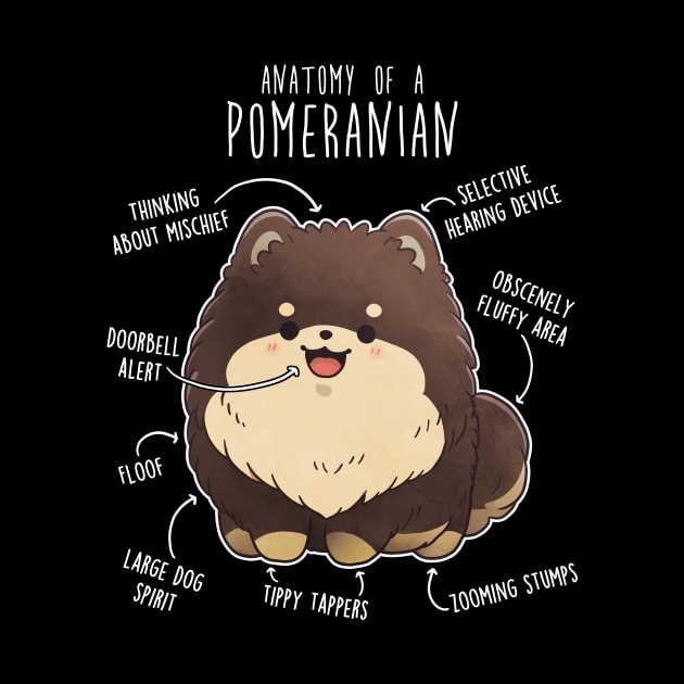 Chocolate and Tan Pomeranian Dog Anatomy by Psitta