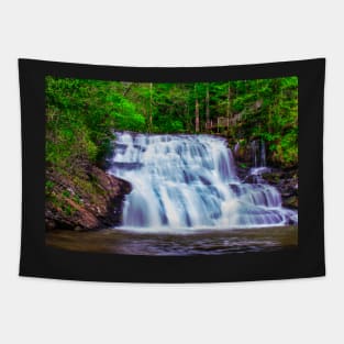 Cane Creek Falls Tapestry