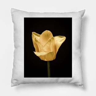 Tulip In Profile 6 Pillow