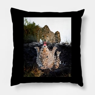 Tiger in the wild Pillow