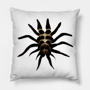 Tarantula Spider Spiders Graphic Illustration Pillow