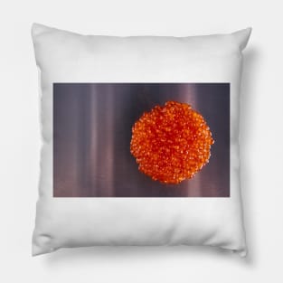 Salmon roe on metal Pillow