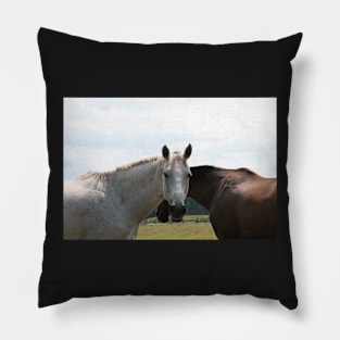 Horses Nuzzling Pillow