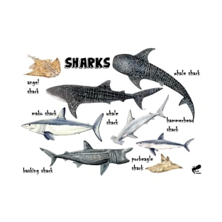 Sharks of the world T-Shirt