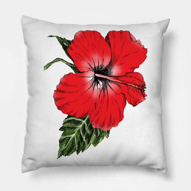 Hibiscus Image Pillow by rachelsfinelines