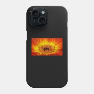 glowing bright coloured  gazania floral fantasy Phone Case