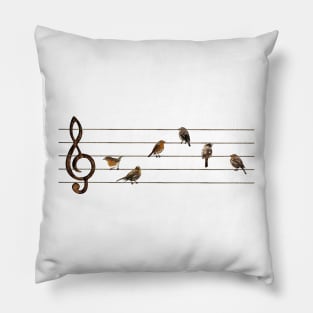 Birds musical score Pillow