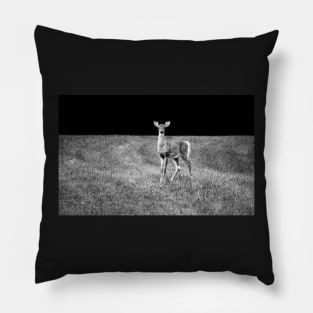 Fawn... Pillow