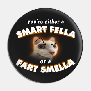 Smart Fella Cat Meme Pin