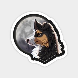 Tricolor Black Border Collie with Night Sky Full Moon Magnet