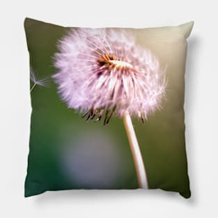 Dandelion Pillow