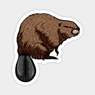 Beaver Magnet