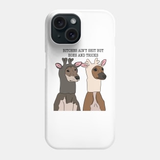 bitches ain’t shit Phone Case