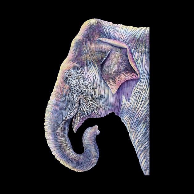 Elephant by Tim Jeffs Art