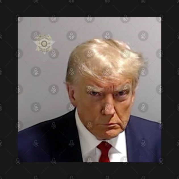 Official DONALD TRUMP MUGSHOT - GREATEST PHOTO EVER TAKEN by colormecolorado