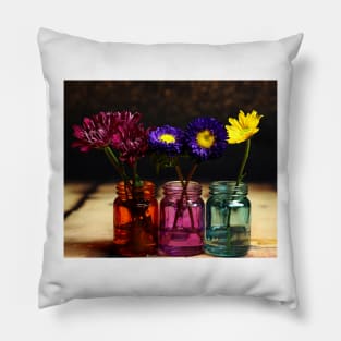 Mason jars Pillow