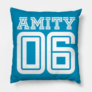 Amity 6 Vintage Jersey Pillow