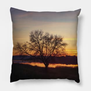 lone autumn tree Pillow