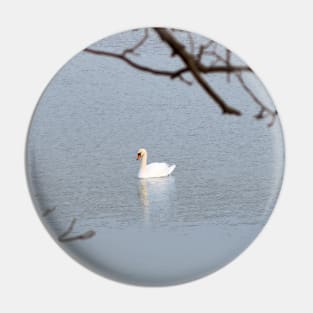 Mute Swan In The Distance Pin