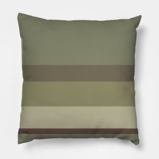 A well-made composition of Purplish Brown, Grey Brown, Camouflage Green, Sage and Brown Grey stripes. Pillow