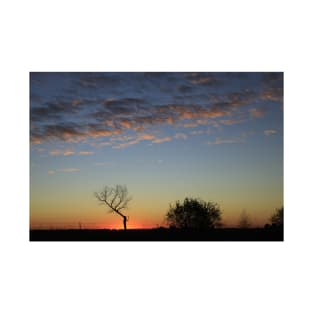 Kansas Sunset with clods and a tree T-Shirt